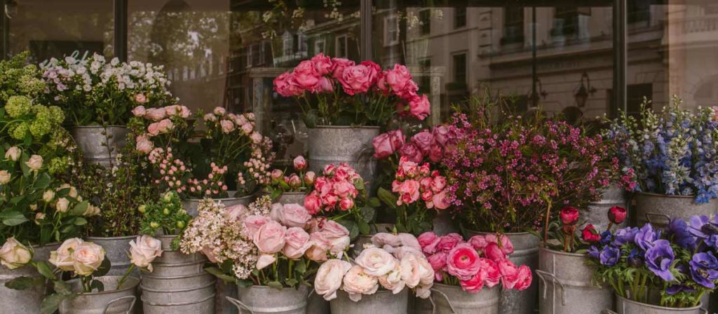 街の"お花屋さん"　良い店と悪い店の見分け方