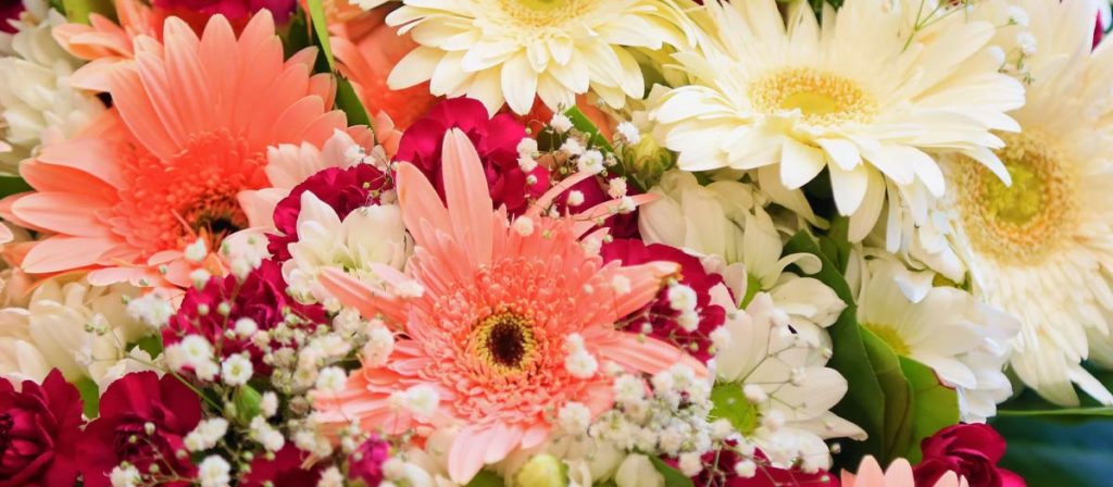 "お見舞いの花"について フラワーギフトは何を選んだらいい？