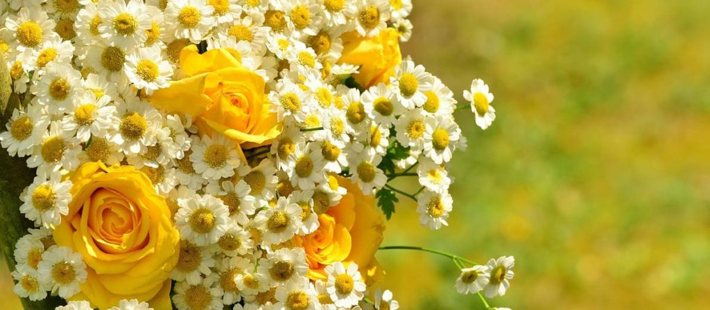 "金婚式"ってなに？ フラワーギフトと金婚式のこと